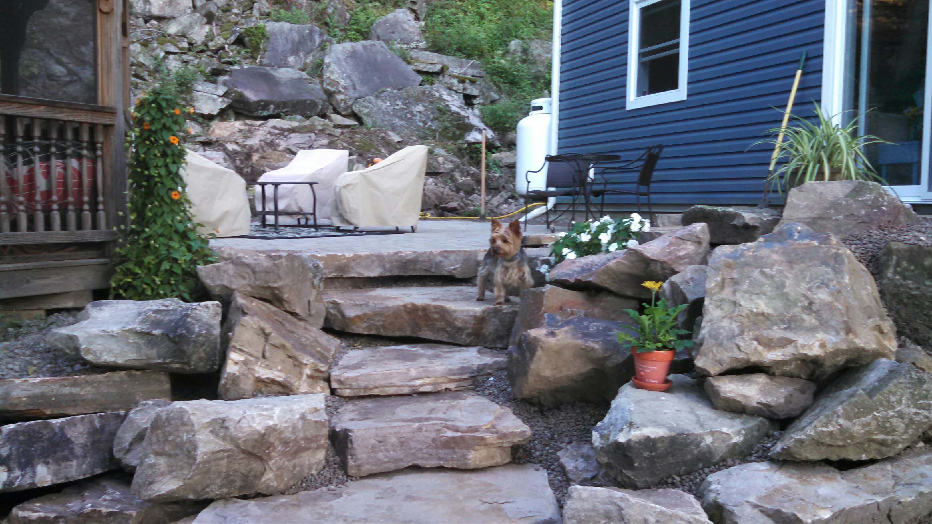 15721227443_4a93b4678c_o